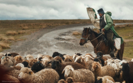 Коммерческие связи пастухов древнего Казахстана поразили ученых