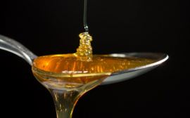 Казахстанские компании начнут экспортировать мед в Саудовскую Аравию