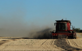 В Казахстане сельское хозяйство станет двигателем экономики