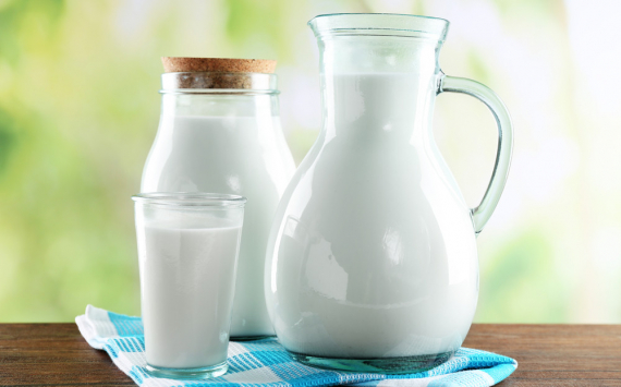 Выработка молока и сливок в Казахстане увеличилась на 7% за год