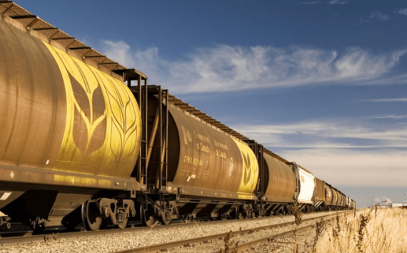 Проблему c экспортом загруженных пшеницей вагонов пытаются решить
