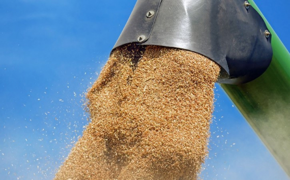 В Минсельхозе Казахстана объяснили рост цен на пшеницу