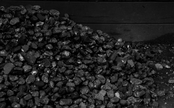 В Казахстане теплицы смогут напрямую закупать уголь с мест добычи